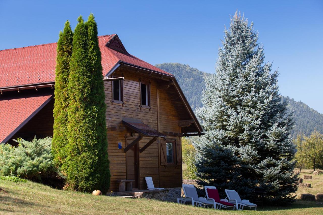 Woodenhouse With Two Apartments Otočac Eksteriør billede